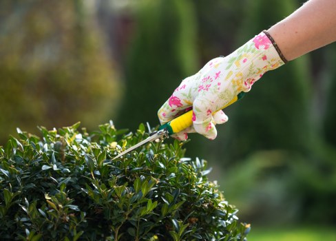 Accessible gardening services for Lewisham users
