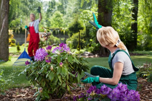 Gardener carrying out a site safety check in a residential garden