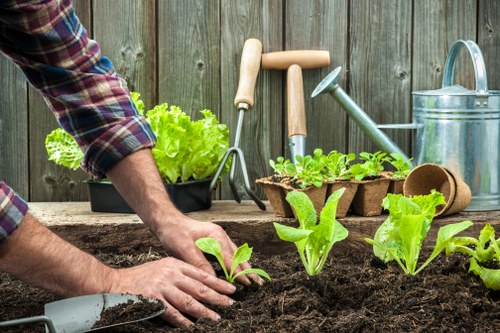 Inclusive Lewisham gardening website accessibility statement