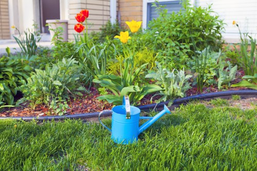 Seasonal lawn maintenance in Lewisham