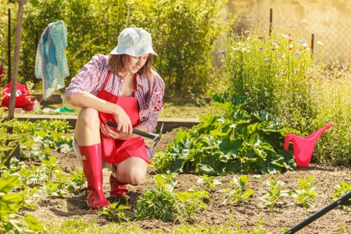 Free quote policy for Gardeners Lewisham