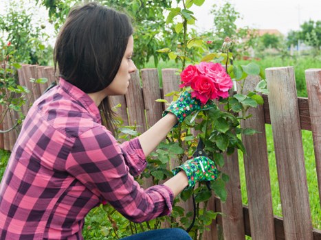 PayPal and encrypted online payment protection for Gardeners Lewisham