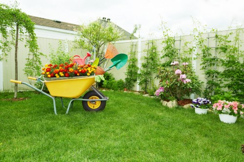 Garden lawn mowing in a Lewisham home