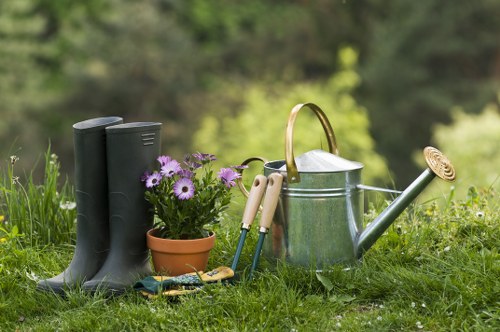 Professional garden care and lawn maintenance in Lewisham