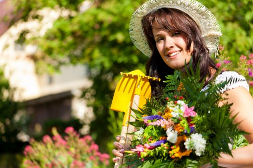 Professional Lewisham garden maintenance in a shaded outdoor space