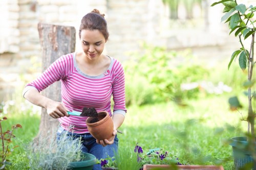 Professional Lewisham gardening team maintaining healthy plants