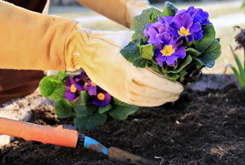 Careful garden maintenance near plants and outdoor features