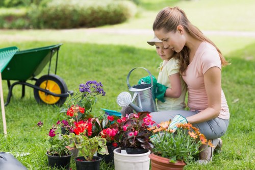 Mowing and feeding grass in Lewisham