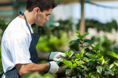 Seasonal gardening services in Lewisham with planting and pruning