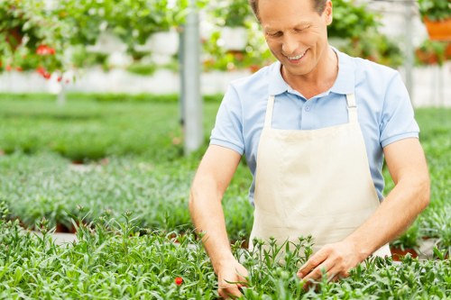 Affordable garden service pricing across Lewisham