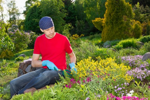 Seasonal planting features in a Lewisham landscaped garden