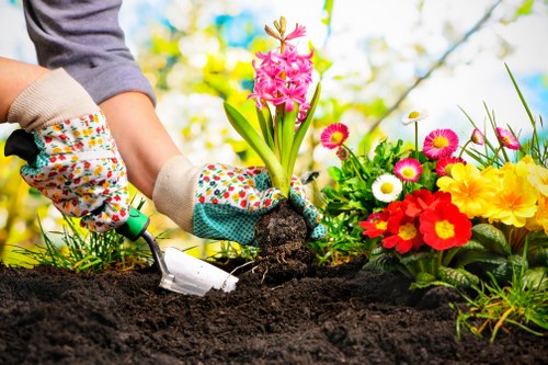 Low-carbon van used for sustainable gardening transport