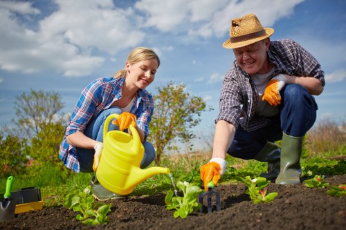 Professional garden waste removal in Lewisham