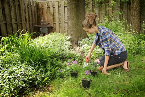 Formal complaint review for garden maintenance