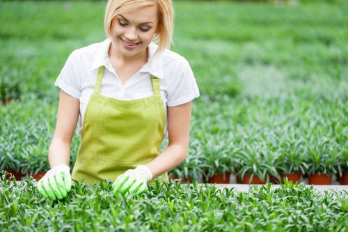 Garden hedge maintenance by a Lewisham gardener