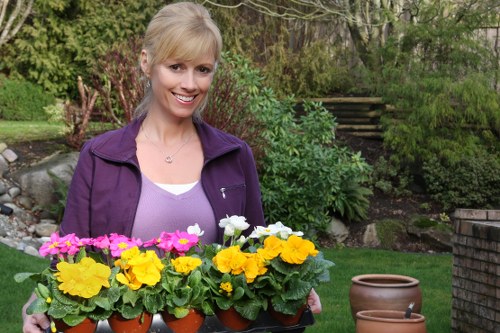 Soft landscaping with shrubs and flowers in Lewisham