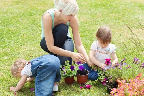 Neat grass cutting service for Lewisham lawns