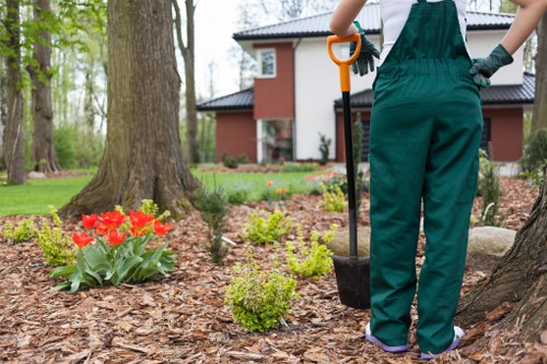 Safe tree removal service in Lewisham near a property