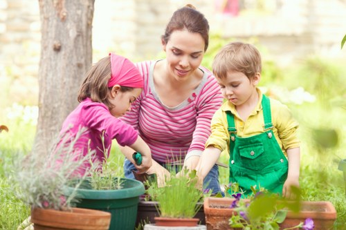 Seasonal garden care in Lewisham with planted borders