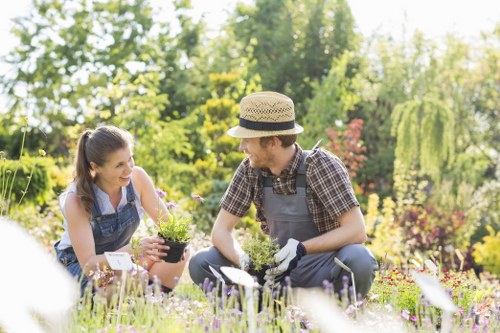 Lewisham garden maintenance with tidy borders and lawn care