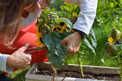 Gardening team assessing outdoor risks before starting work